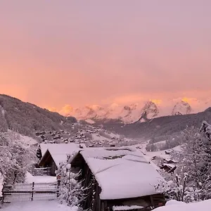 Le Rucher De La Vignette Le Grand-Bornand